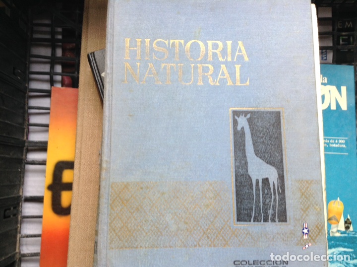 Libros de segunda mano: Historia natural - Foto 1
