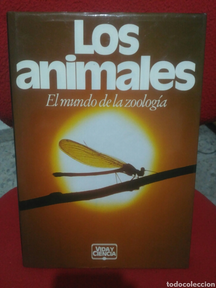 Libros de segunda mano: Los animales. Circulo de lectores - Foto 1