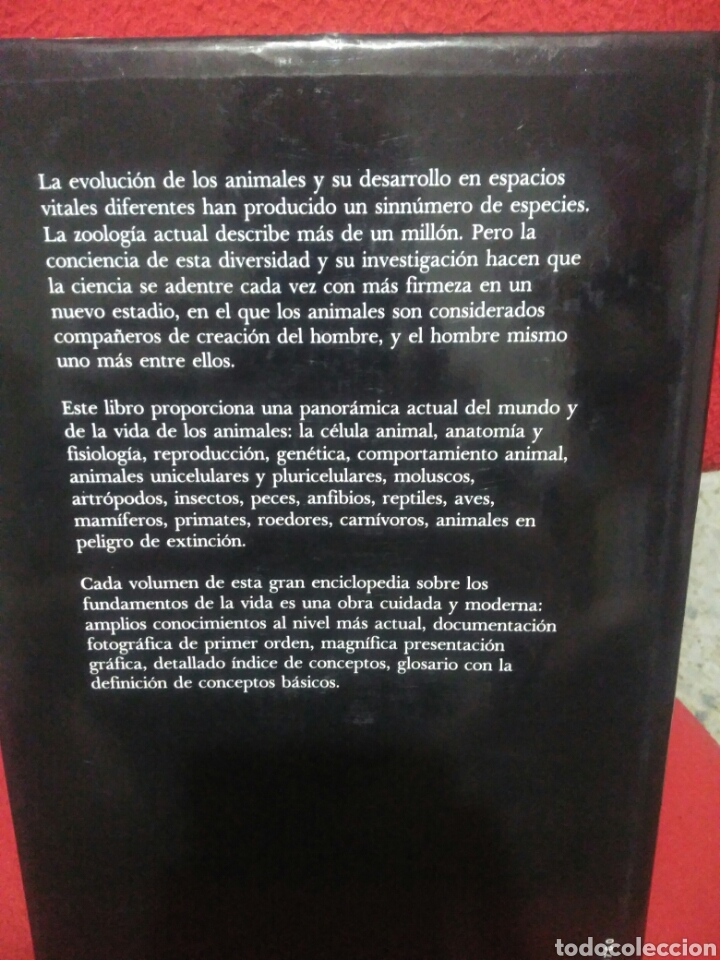 Libros de segunda mano: Los animales. Circulo de lectores - Foto 2