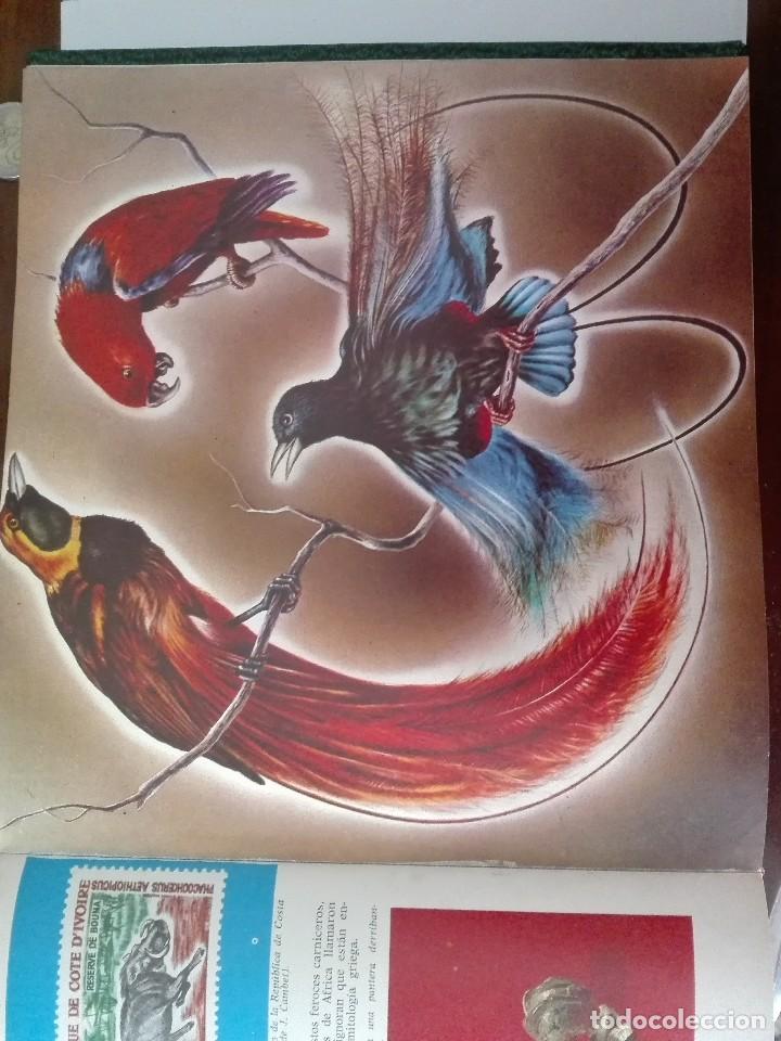 Libros de segunda mano: CURIOSIDADES DEL MUNDO ANIMAL - Foto 3