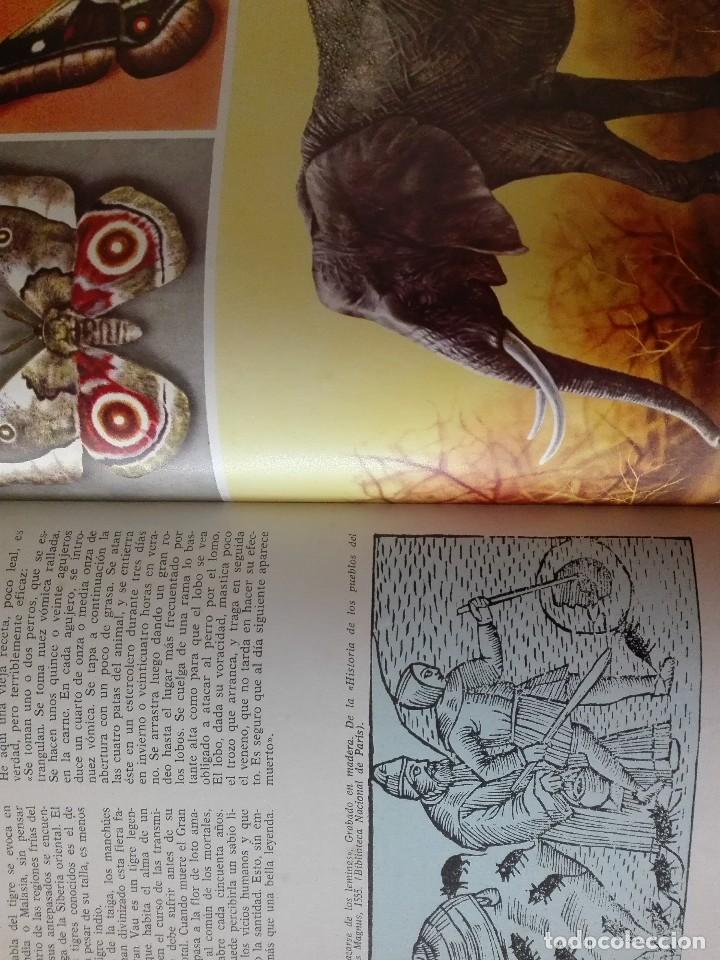 Libros de segunda mano: CURIOSIDADES DEL MUNDO ANIMAL - Foto 4
