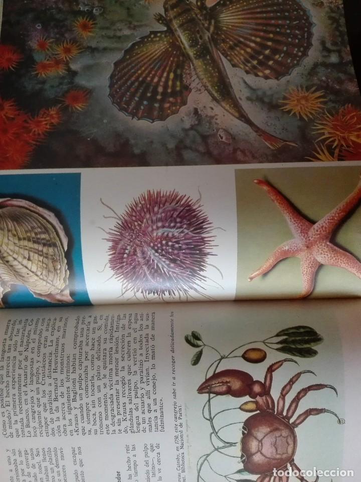 Libros de segunda mano: CURIOSIDADES DEL MUNDO ANIMAL - Foto 5