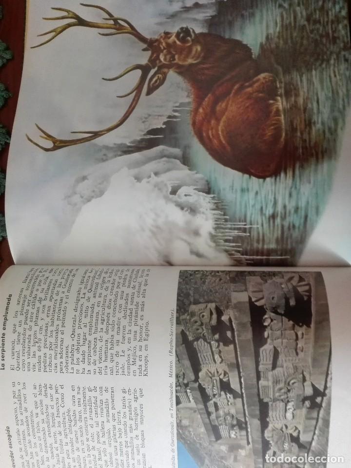Libros de segunda mano: CURIOSIDADES DEL MUNDO ANIMAL - Foto 6