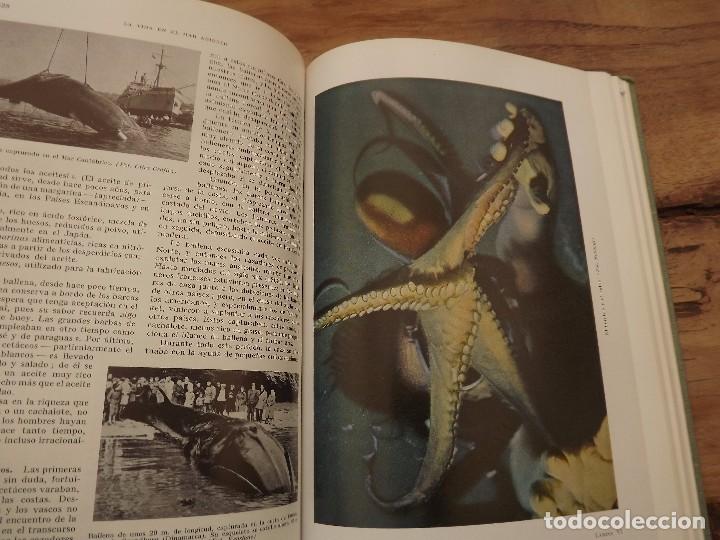 Libros de segunda mano: El Mar, Edt Labor 1968. - Foto 4