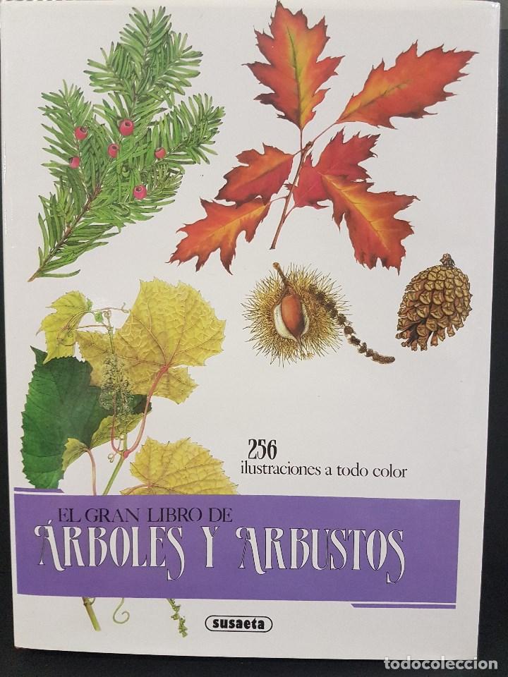 Gebrauchte B&uuml;cher: EL GRAN LIBRO DE &Aacute;RBOLES Y ARBUSTOS,256 ILUSTRACIONES A TODO COLOR