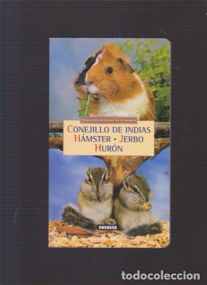 Libros de segunda mano: CONEJILLO DE INDIAS - H&Aacute;MSTER - JERBO- HUR&Oacute;N - SUSAETA EDITORIAL - Foto 1