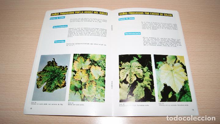 Libros de segunda mano: Carencias y virosis de la Vid de 1973 - Foto 2