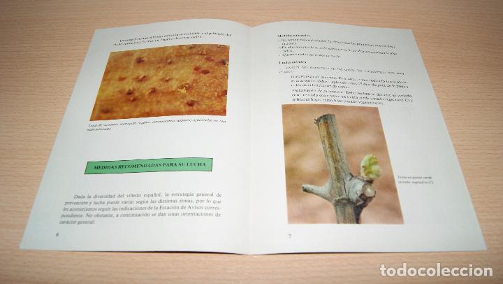 Libros de segunda mano: La Excoriosis de la Vid de 1981 - Foto 2