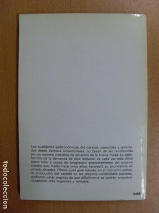 Libros de segunda mano: CR&Iacute;A RENTABLE DEL CARACOL / Fausta Mainardi Fazio / 1981 - Foto 4
