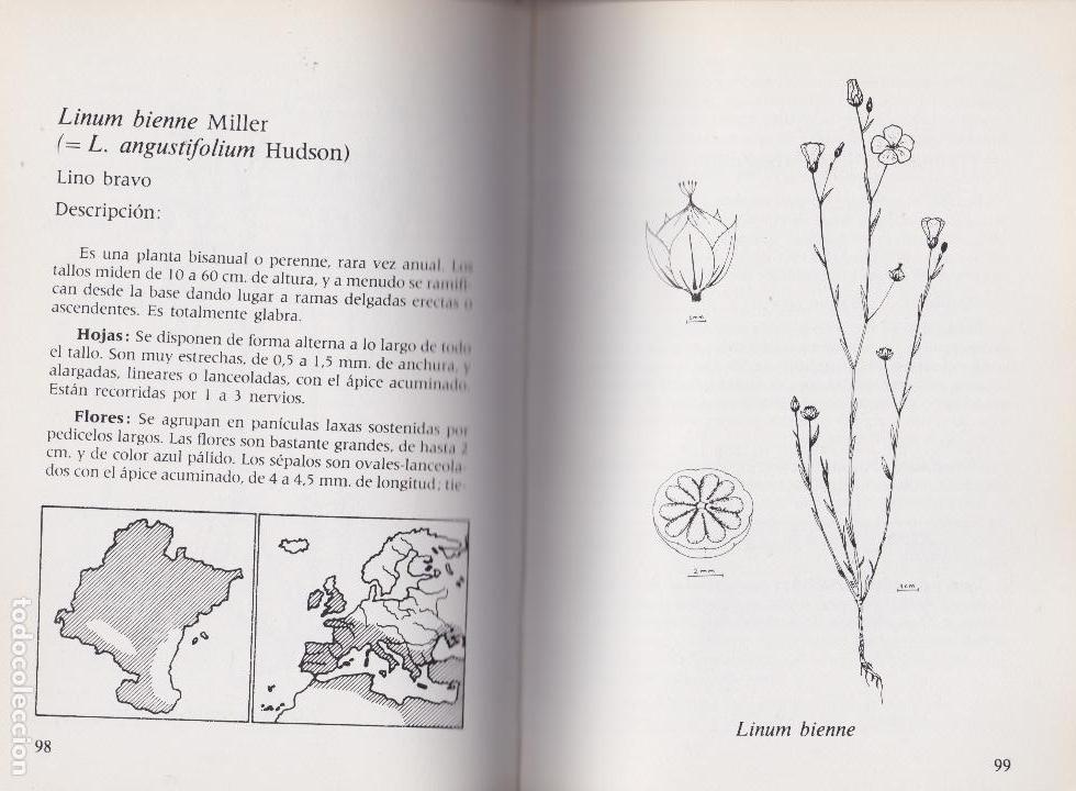Libros de segunda mano: Flora de Navarra 2 &ndash; Flora primaveral - Foto 3
