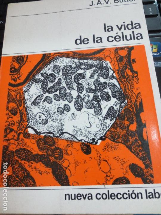 Libros de segunda mano: LA VIDA DE LA C&Eacute;LULA J. A. V. BUTLER EDIT LABOR A&Ntilde;O 1967 - Foto 1