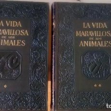 Libros de segunda mano: LA MARAVILLOSA VIDA DE LOS ANIMALES. GALLACH