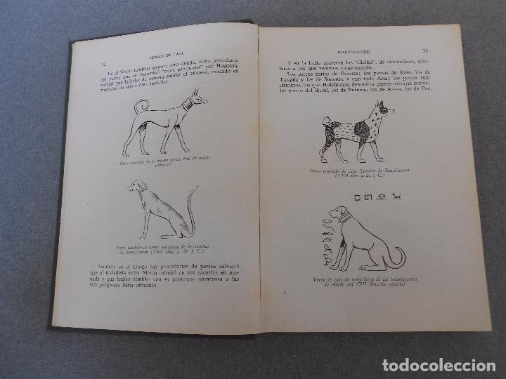 Libros de segunda mano: PERROS DE CAZA - Foto 5