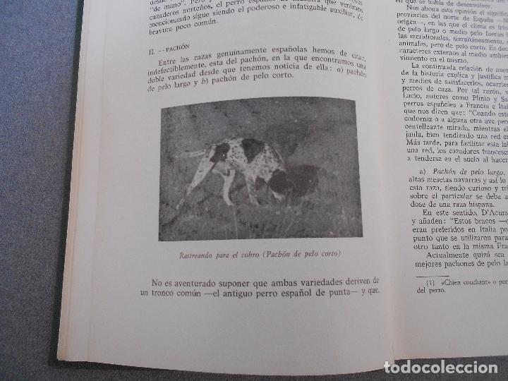 Libros de segunda mano: PERROS DE CAZA - Foto 6