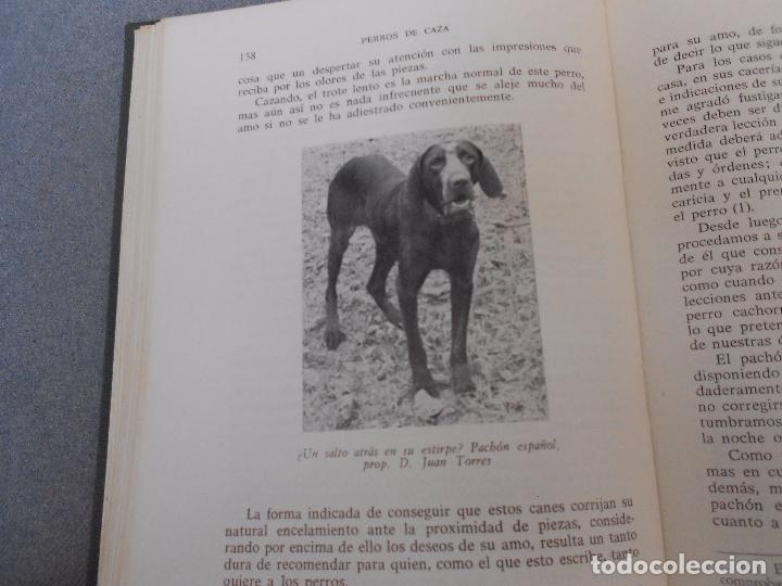 Libros de segunda mano: PERROS DE CAZA - Foto 7