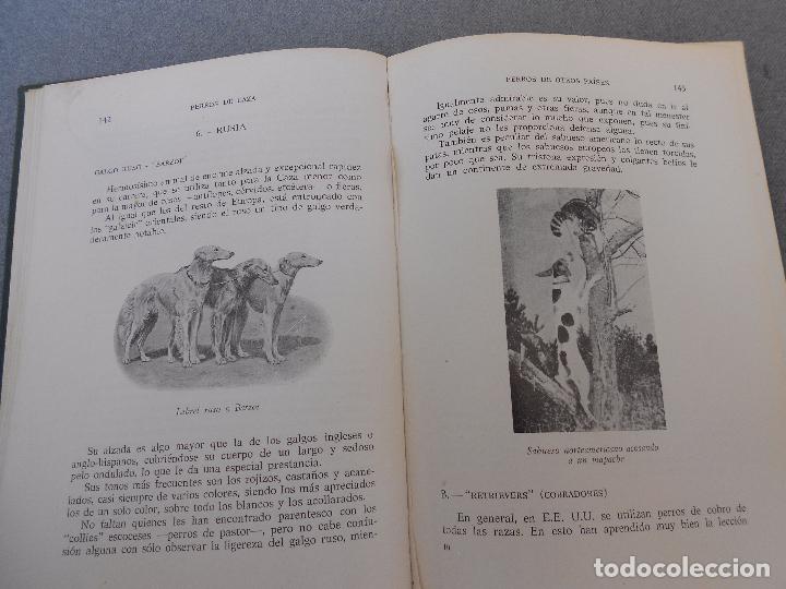 Libros de segunda mano: PERROS DE CAZA - Foto 8
