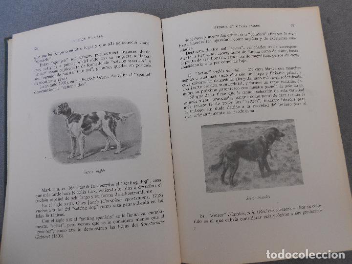 Libros de segunda mano: PERROS DE CAZA - Foto 12