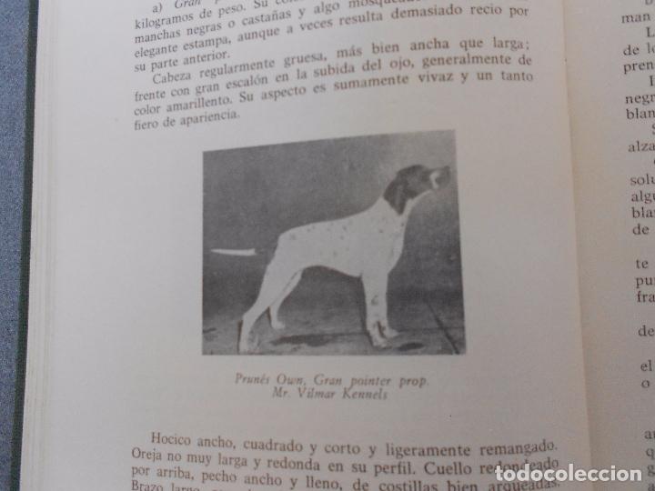 Libros de segunda mano: PERROS DE CAZA - Foto 13