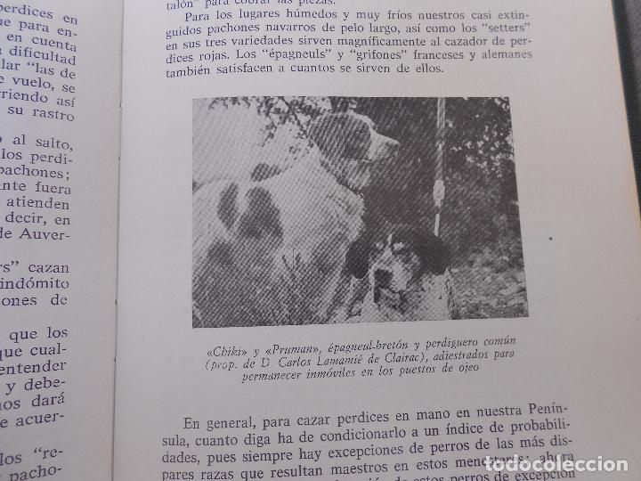 Libros de segunda mano: PERROS DE CAZA - Foto 14
