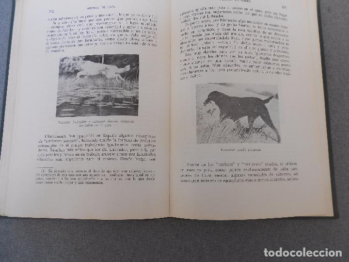Libros de segunda mano: PERROS DE CAZA - Foto 15