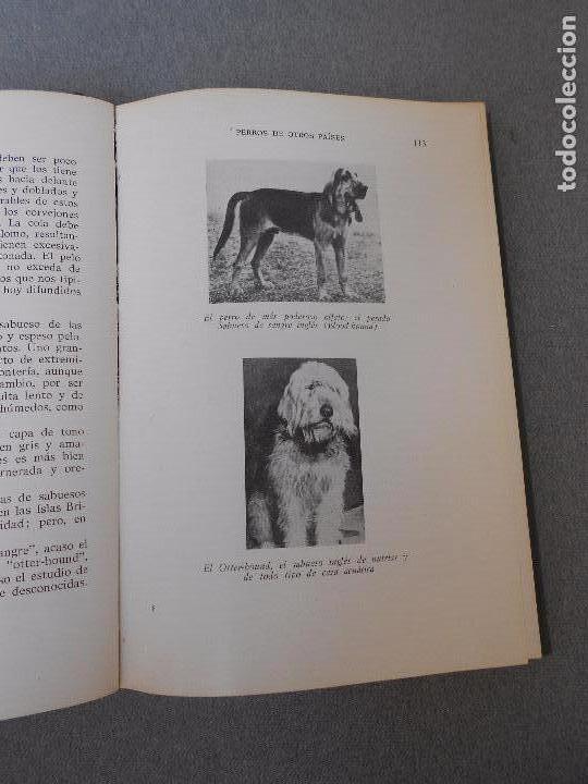 Libros de segunda mano: PERROS DE CAZA - Foto 10