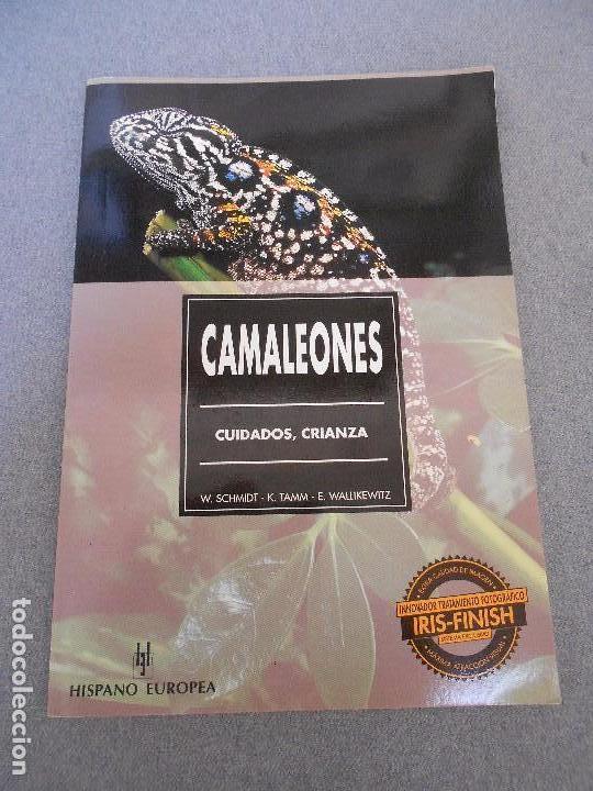 Libros de segunda mano: CAMALEONES. CUIDADOS, CRIANZA. - Foto 1