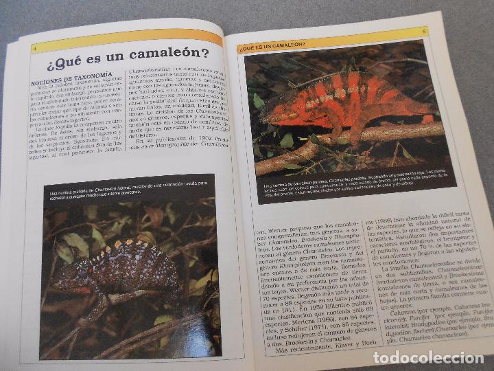 Libros de segunda mano: CAMALEONES. CUIDADOS, CRIANZA. - Foto 2