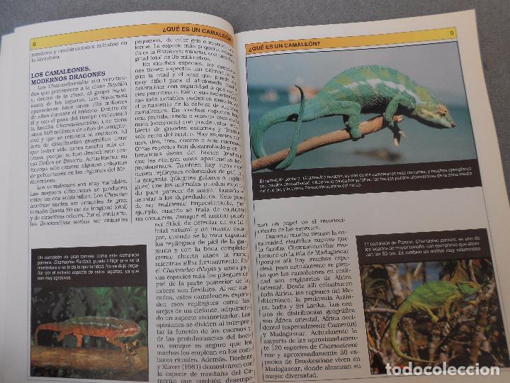 Libros de segunda mano: CAMALEONES. CUIDADOS, CRIANZA. - Foto 3