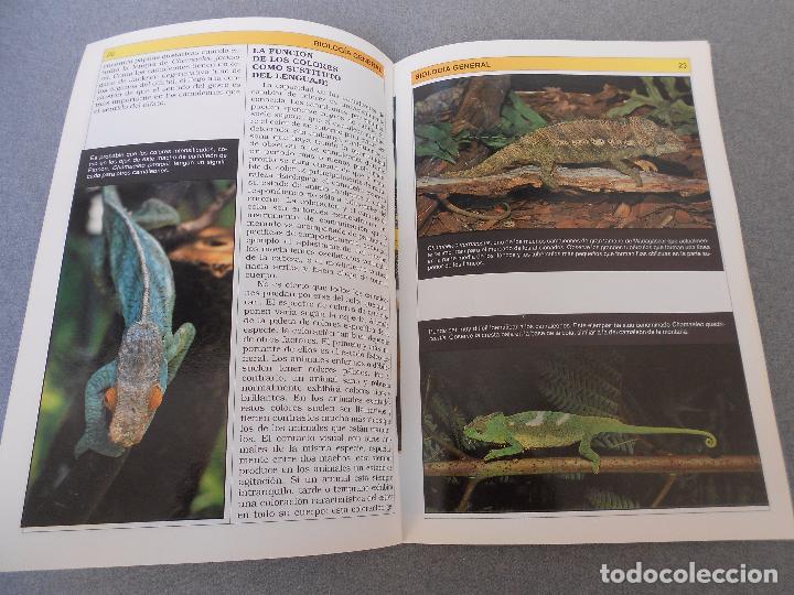 Libros de segunda mano: CAMALEONES. CUIDADOS, CRIANZA. - Foto 6