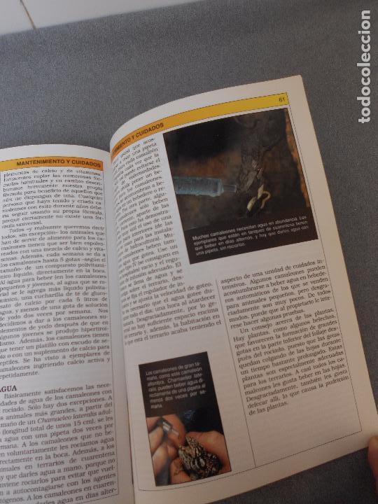 Libros de segunda mano: CAMALEONES. CUIDADOS, CRIANZA. - Foto 9