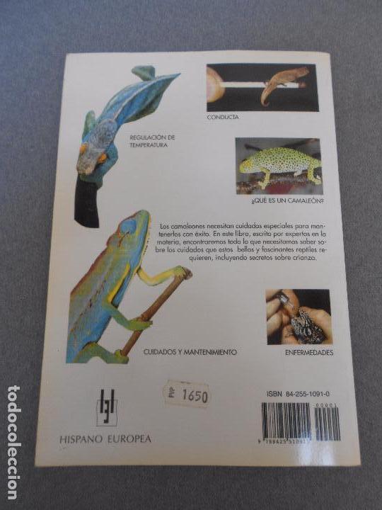 Libros de segunda mano: CAMALEONES. CUIDADOS, CRIANZA. - Foto 10