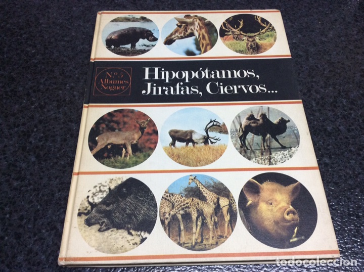 Second hand books: HIPOPOTAMOS, JIRAFAS, CIERVOS - Edita : NOGUER, S.A., 1972 OFERTA