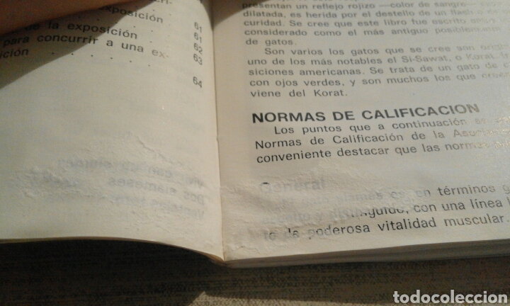 Libros de segunda mano: Mi gato siam&eacute;s - Marge Naples - Foto 6