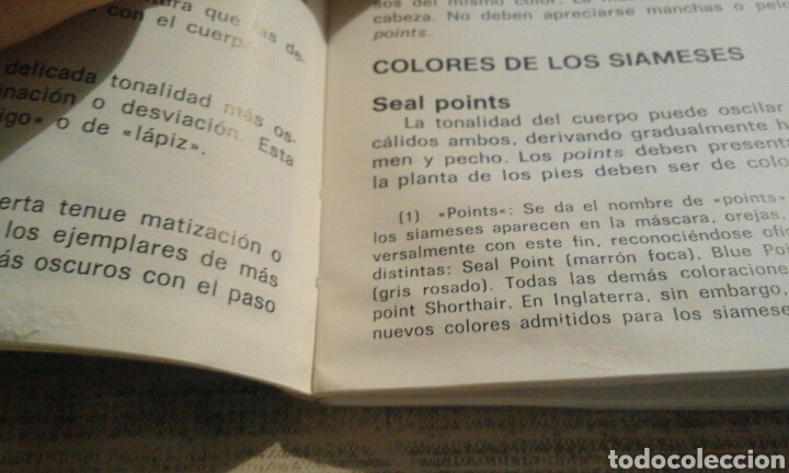 Libros de segunda mano: Mi gato siam&eacute;s - Marge Naples - Foto 8
