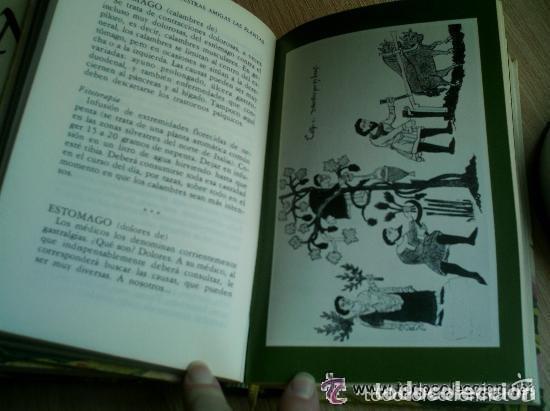 Libros de segunda mano: NUESTRAS AMIGAS LAS PLANTAS 3 VOL&Uacute;MENES 1977 - Foto 4