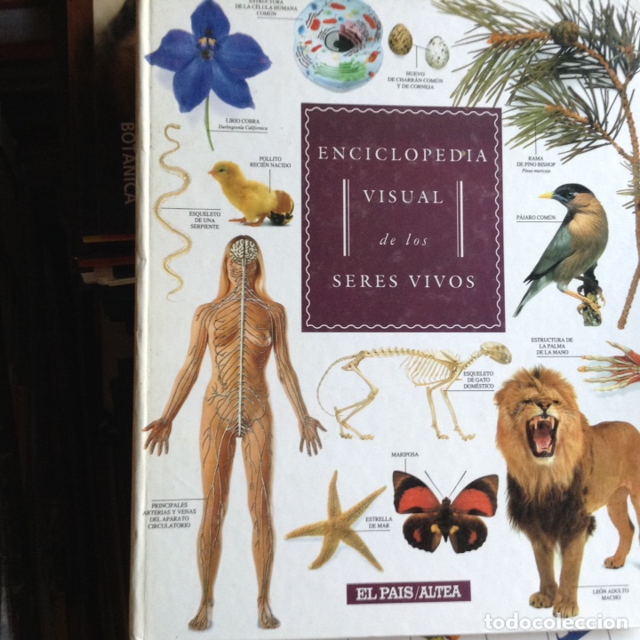 Libros de segunda mano: Enciclopedia visual de los seres vivos - Foto 1