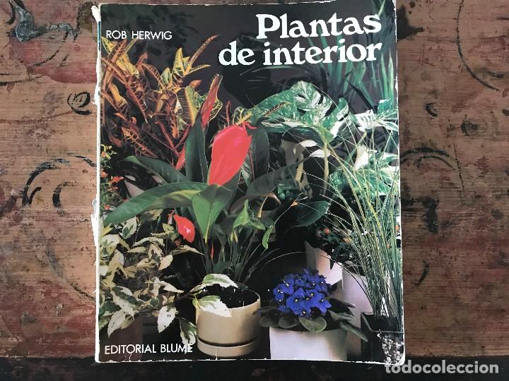 Libros de segunda mano: Plantas de interior. Rob Herwig - Foto 1