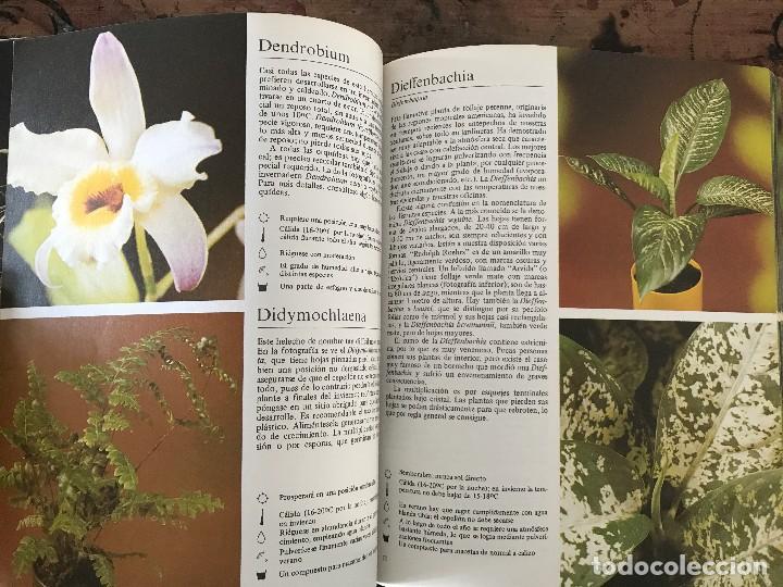 Libros de segunda mano: Plantas de interior. Rob Herwig - Foto 5