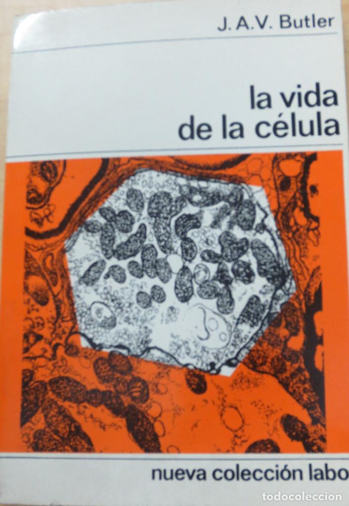 Libros de segunda mano: LA VIDA DE LA C&Eacute;LULA J.A.V.BUTLER EDIT LABOR A&Ntilde;O 1973 - Foto 1