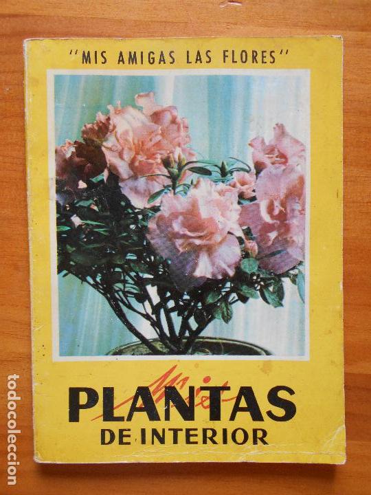 Libros de segunda mano: MIS PLANTAS DE INTERIOR - MIS AMIGAS LAS FLORES (J) - Foto 1