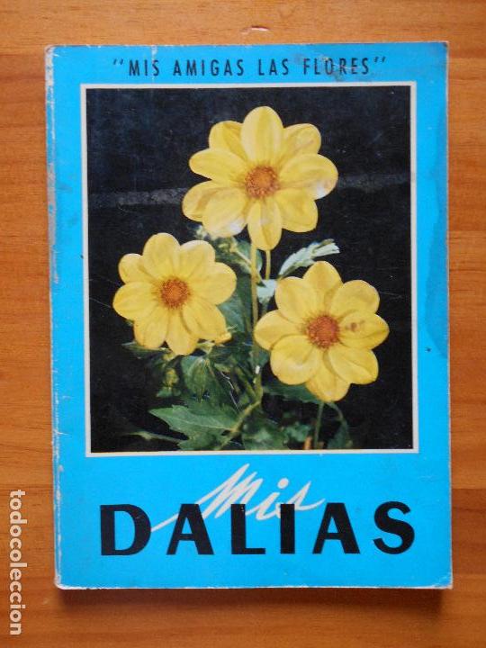 Libros de segunda mano: MIS DALIAS - MIS AMIGAS LAS FLORES (J) - Foto 1