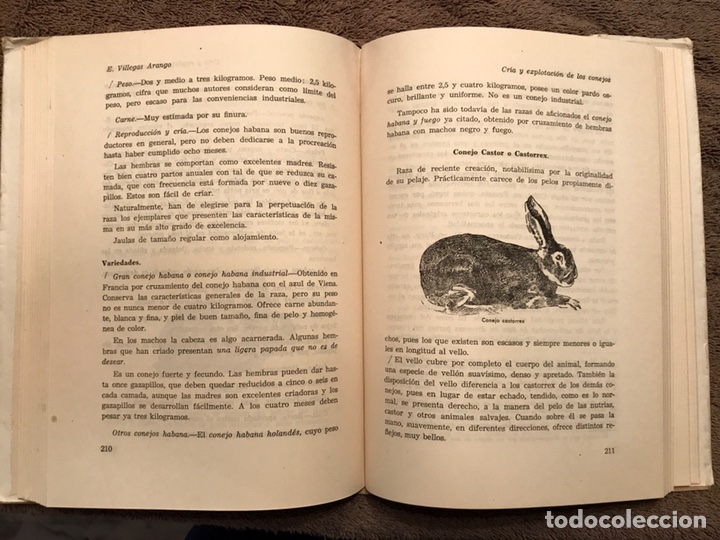 Libros de segunda mano: libro CRIA INDUSTRIAL Y EXPLOTACI&Oacute;N DE LOS CONEJOS (h.1930/40?) - Foto 3
