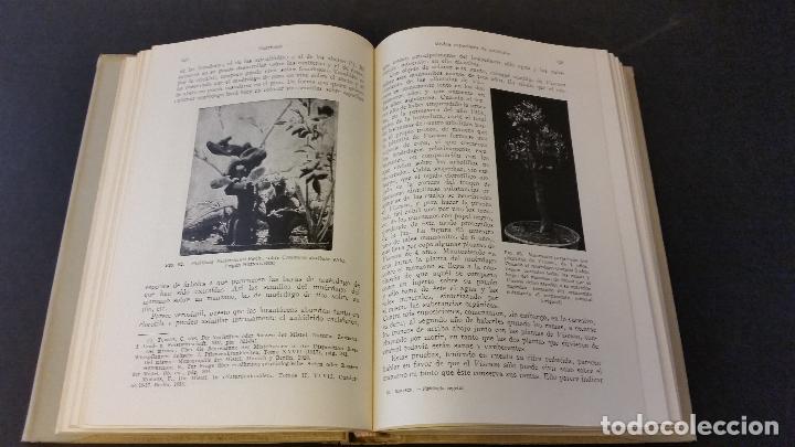 Libros de segunda mano: 1945 - MOLISCH - FISIOLOG&Iacute;A VEGETAL - Foto 2