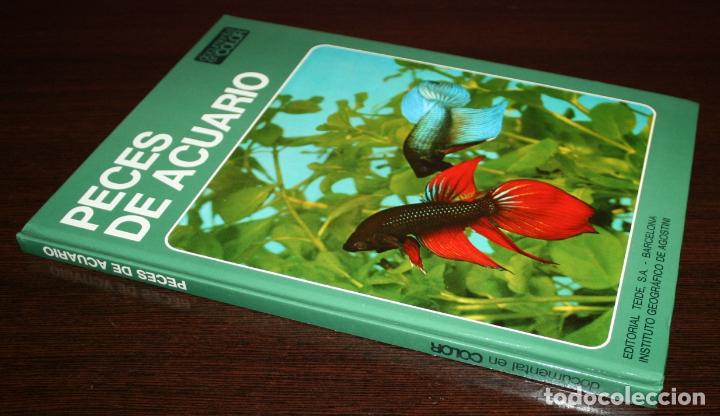 Libros de segunda mano: PECES DE ACUARIO - DOCUMENTAL EN COLOR - ED. TEIDE/ INST. GEOGR&Aacute;FICO DEAGOSTINI - 1973 - Foto 2