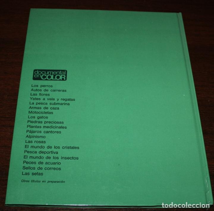 Libros de segunda mano: PECES DE ACUARIO - DOCUMENTAL EN COLOR - ED. TEIDE/ INST. GEOGR&Aacute;FICO DEAGOSTINI - 1973 - Foto 3