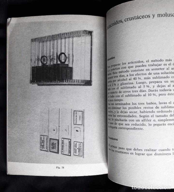 Libros de segunda mano: LA TAXIDERMIA | JAVIER PALAUS | DE VECCHI 1977 - Foto 4