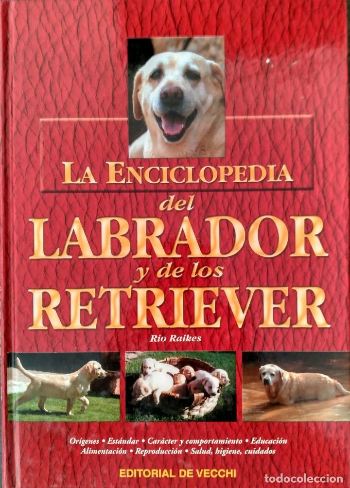 Libros de segunda mano: La enciclopedia del labrador y de los retriever - Rio Raikes - Foto 1