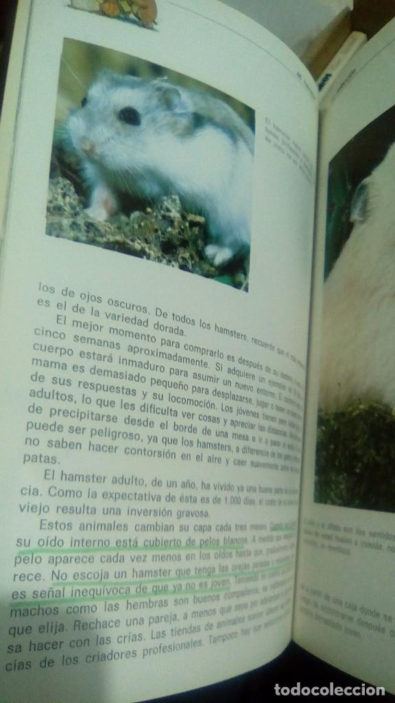 Libros de segunda mano: MI HAMSTER.- A. BARRIE - Foto 2