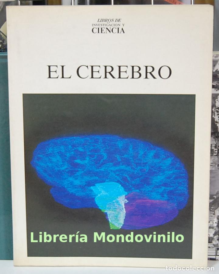 Libros de segunda mano: El cerebro, libros de investigaci&oacute;n y ciencia - Foto 1