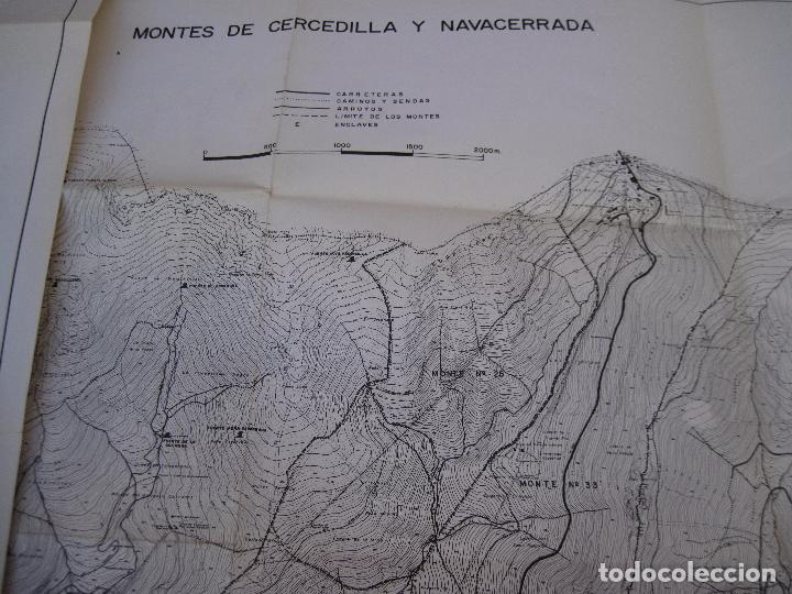 Libros de segunda mano: ESTUDIOS BASICOS PARA UNA ORDENACION INTEGRAL MONTES DE : CERCEDILLA Y NAVACERRADA (MADRID ) - Foto 3